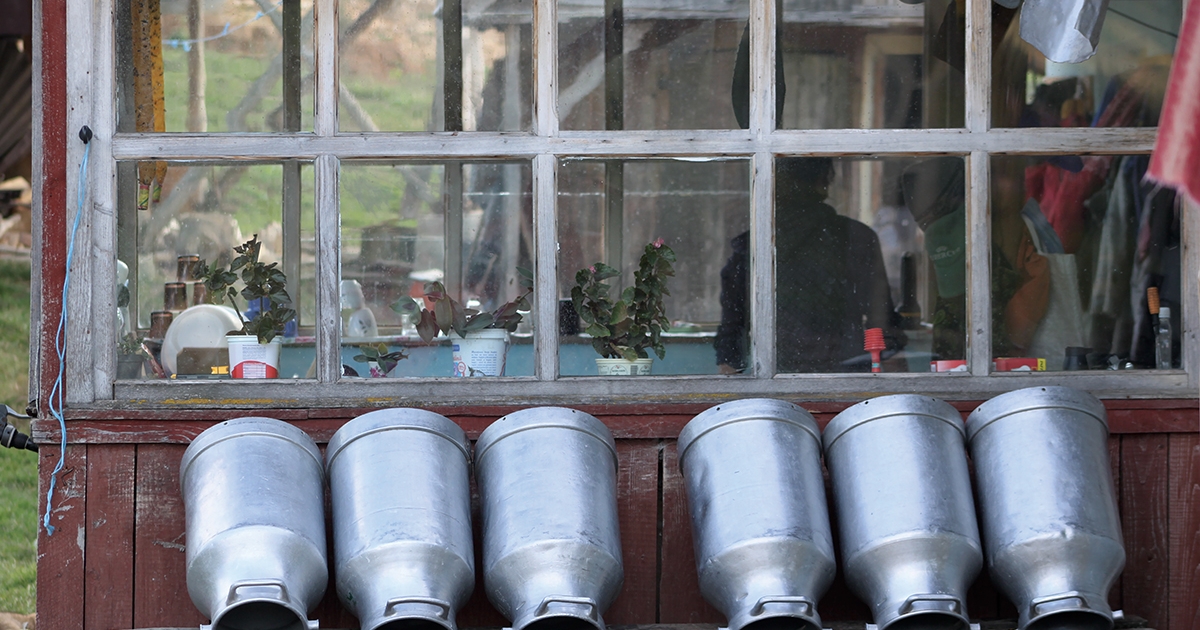 Meghirdette pályázatait a megyei vidékfejlesztési egyesület